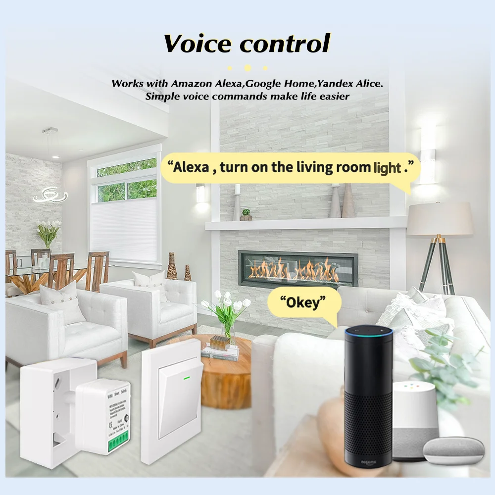 For Tuya Mini Smart WiFi Switc - đánh giá và giá Home Automation Diy